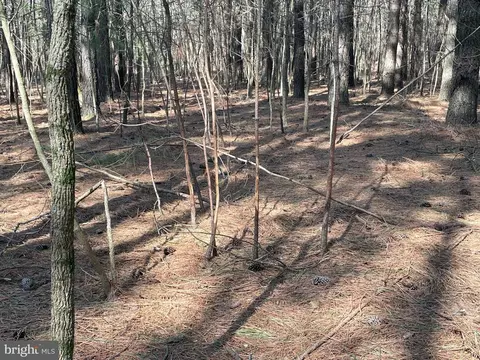 Foskey Lane, Delmar, MD 21875 photo 5