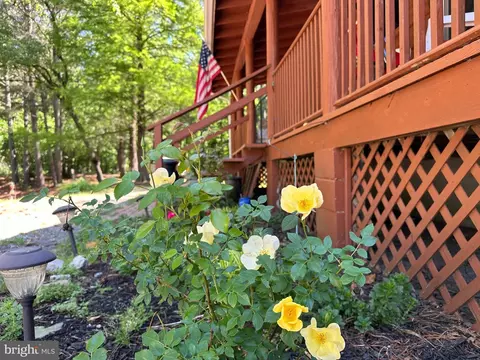 Exterior - 28407 Old Eden Rd, Eden, MD 21822 photo 11 of 18