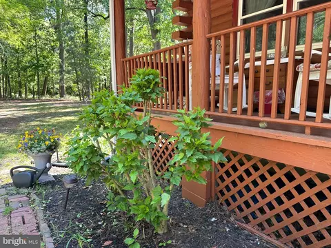 Exterior - 28407 Old Eden Rd, Eden, MD 21822 photo 10 of 18