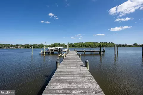 View/Area - 1113 Cotton Patch Island Is, Salisbury, MD 21801 photo 13 of 15