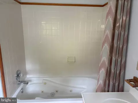 Bath - 207 Thrasher Way, Salisbury, MD 21804 photo 7 of 20