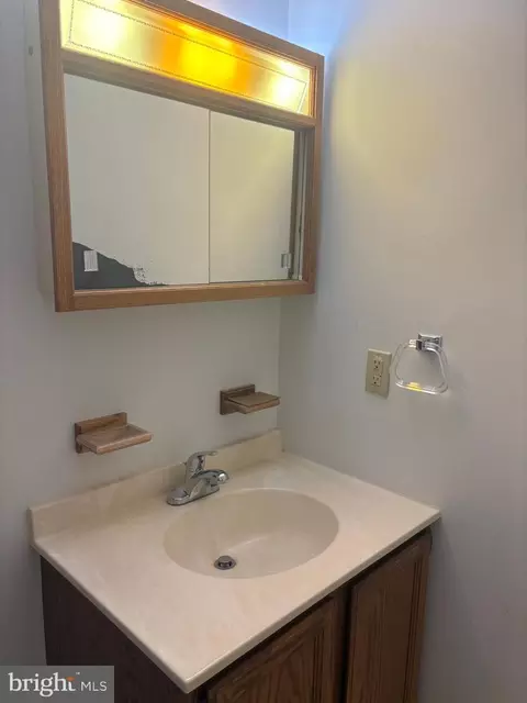 Bath - 207 Thrasher Way, Salisbury, MD 21804 photo 10 of 20