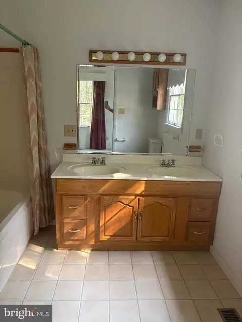 Bath - 207 Thrasher Way, Salisbury, MD 21804 photo 8 of 20
