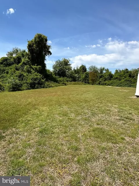 Exterior - 20703 Nutter Rd, Nanticoke, MD 21840 photo 9 of 12