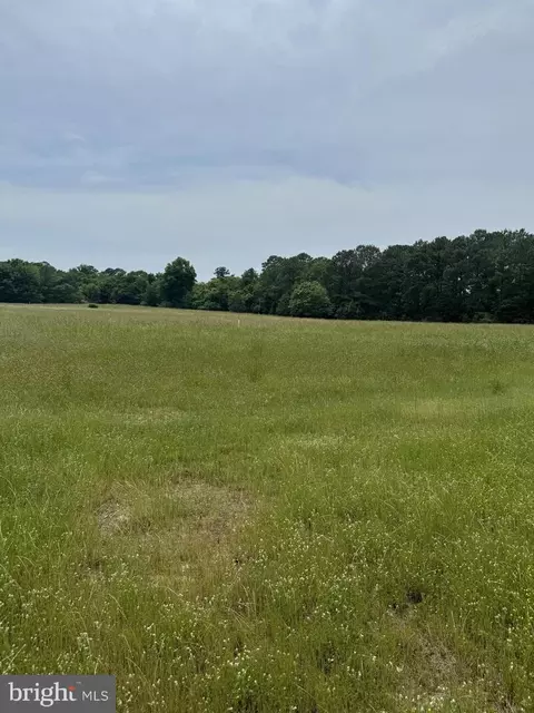 0 Nanticoke Rd, Nanticoke, MD 21840 photo 13