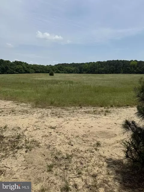 0 Nanticoke Rd, Nanticoke, MD 21840 photo 6