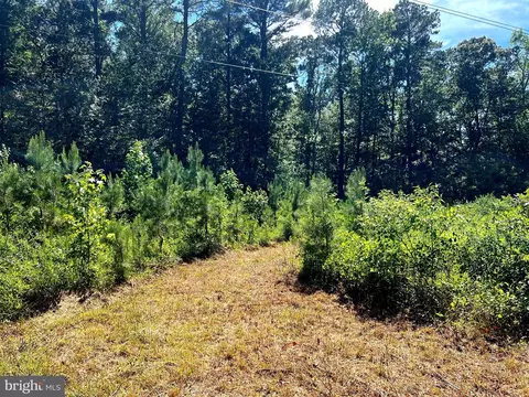 Cedar Court, Hebron, MD 21830