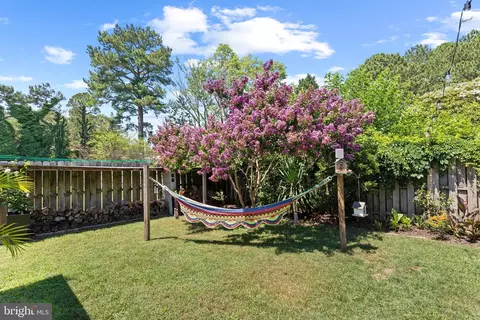 Exterior - 427 Druid Hill Ave, Salisbury, MD 21801 photo 7 of 13