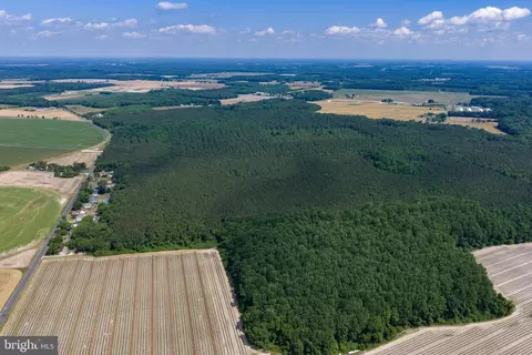 0 Jersey Rd, Salisbury, MD 21801 photo 3