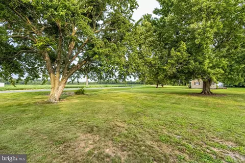 Other - 6986 Bent Pine Rd, Willards, MD 21874 photo 19 of 20