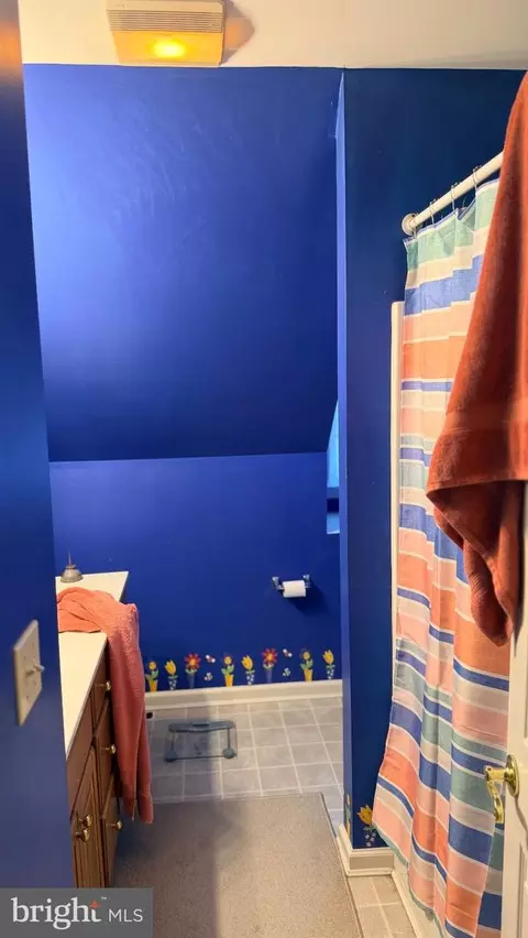 Bath - 5916 Oxbridge Dr, Salisbury, MD 21801 photo 2 of 3
