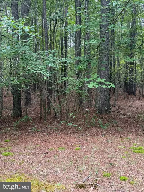 23301 Nanticoke Rd, Quantico, MD 21856 photo 6