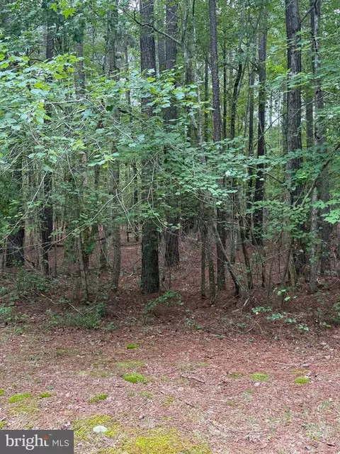 23301 Nanticoke Rd, Quantico, MD 21856 photo 5
