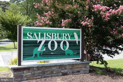 Other - 6050 Gloucester Ct, Salisbury, MD 21801 photo 28 of 31