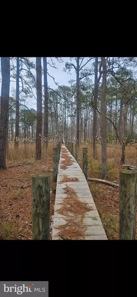 lot7 Newport Bay Dr, Berlin, MD 21811 photo 4