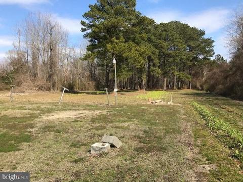 309 Maple Ave, Berlin, MD 21811 photo 1