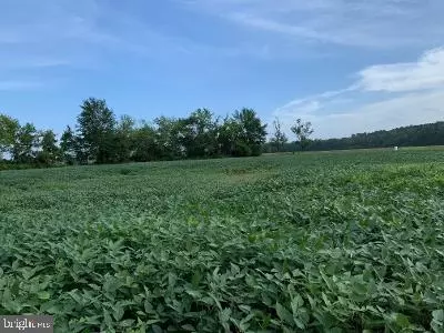 0 Grays Corner Rd, Berlin, MD 21811