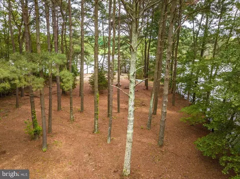 8718 Grey Fox Ln, Berlin, MD 21811 photo 22