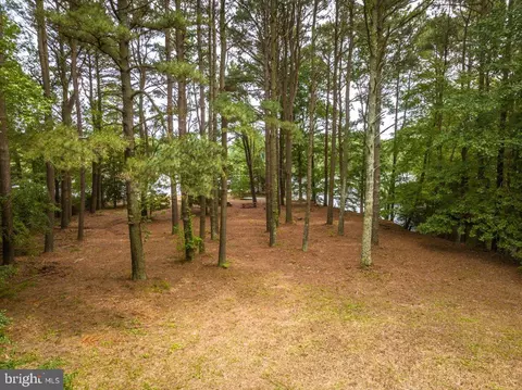 8718 Grey Fox Ln, Berlin, MD 21811 photo 19