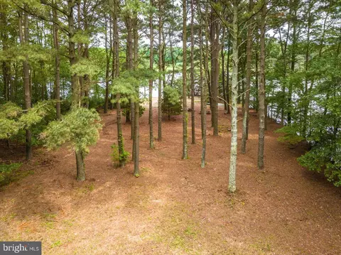 8718 Grey Fox Ln, Berlin, MD 21811 photo 24