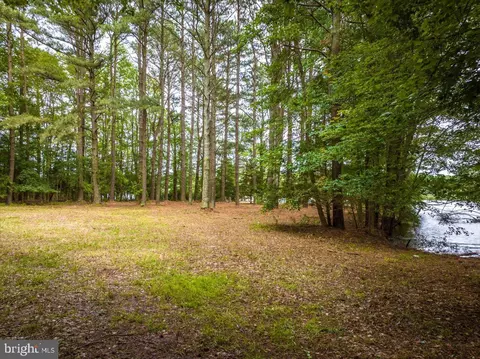 8718 Grey Fox Ln, Berlin, MD 21811 photo 21