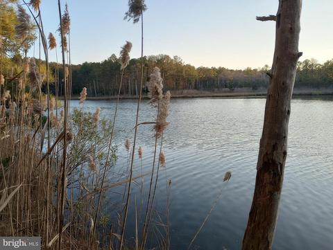 Lot 7 Croppers Island Road, Newark, MD 21841