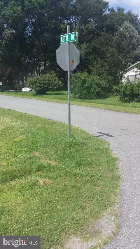 Lot 92 W Dixie Drive, Bishopville, MD 21813