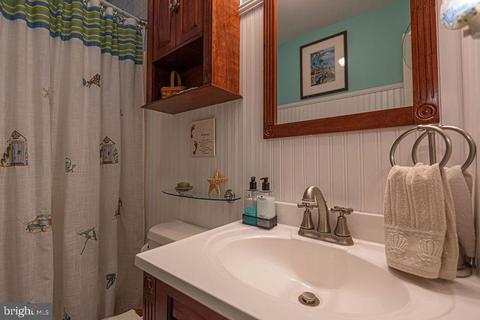 13 Ivanhoe Ct, Berlin, MD 21811 photo 70