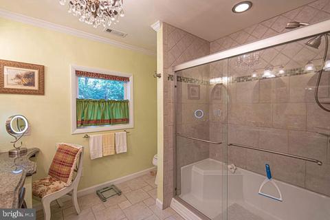 13 Ivanhoe Ct, Berlin, MD 21811 photo 78