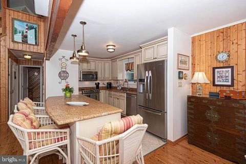 13 Ivanhoe Ct, Berlin, MD 21811 photo 28