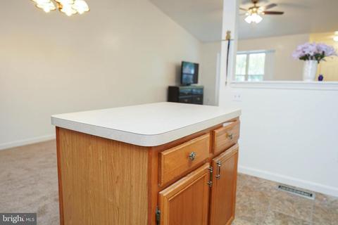 140 Sandyhook Rd, Berlin, MD 21811 photo 22