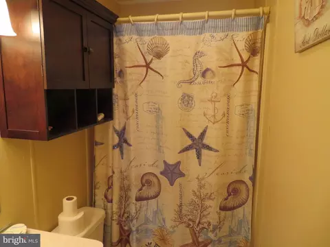 451 Timberline Cir, Berlin, MD 21811 photo 37