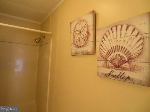 451 Timberline Cir, Berlin, MD 21811 photo 36
