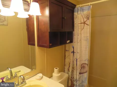 451 Timberline Cir, Berlin, MD 21811 photo 35