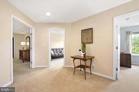 330 Dueling Way, Berlin, MD 21811 photo 20