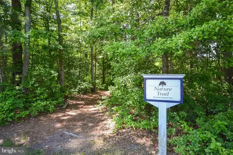 16 Carnegie Pl, Berlin, MD 21811 photo 23