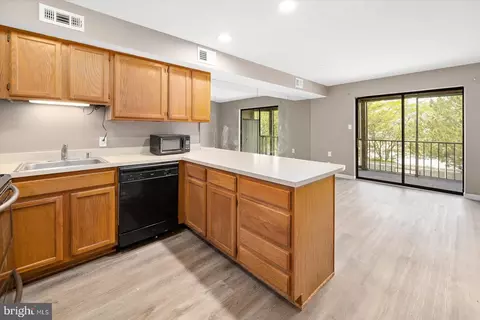12304 Jamaica Ave #204, Ocean City, MD 21842
