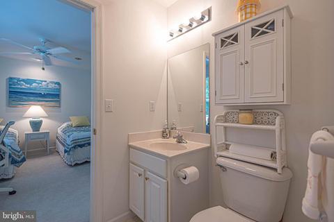 50 Hingham Ln, Berlin, MD 21811 photo 54
