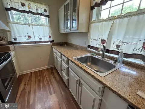 300 Ann Dr, Berlin, MD 21811 photo 19