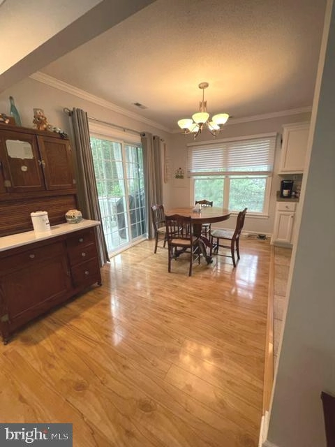 36 Bramblewood Dr, Berlin, MD 21811 photo 21