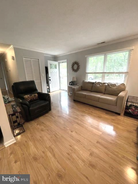 36 Bramblewood Dr, Berlin, MD 21811 photo 20