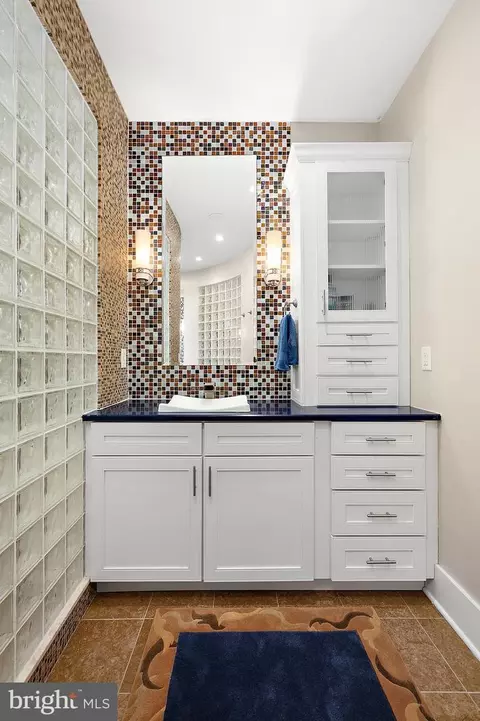 169 Teal Cir, Berlin, MD 21811 photo 60