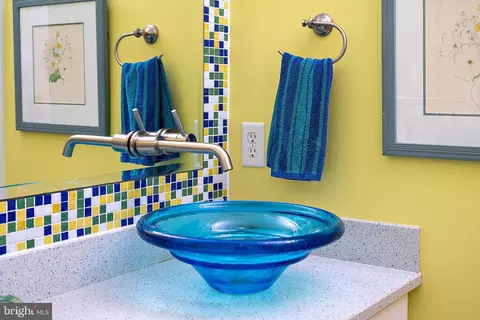 169 Teal Cir, Berlin, MD 21811 photo 100