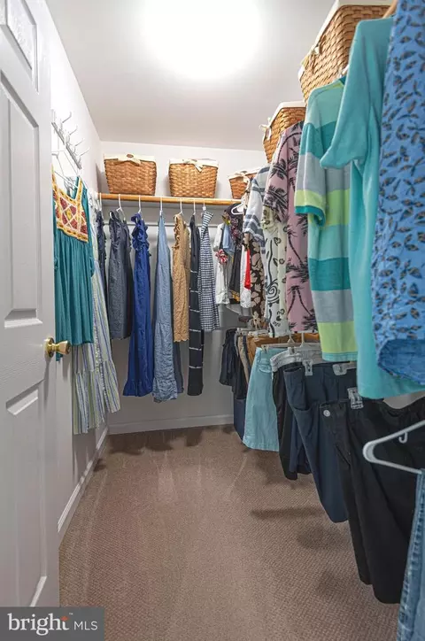 8701 Logtown Rd, Berlin, MD 21811 photo 70