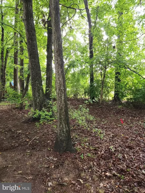 44 Nottingham Ln, Berlin, MD 21811 photo 21