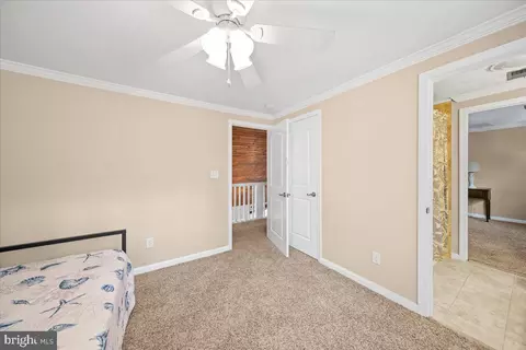 21 Abbott Pl, Berlin, MD 21811 photo 31