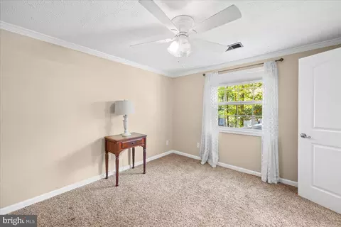 21 Abbott Pl, Berlin, MD 21811 photo 35