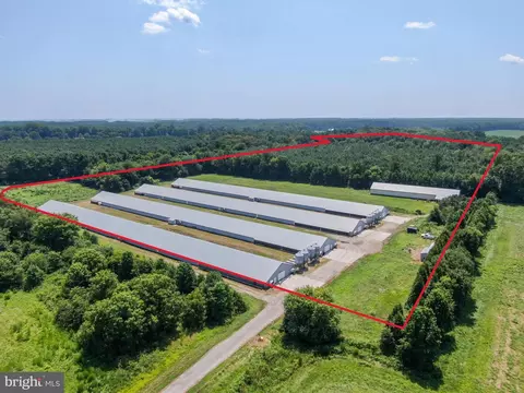 5412 Onley Rd, Girdletree, MD 21829 photo 10