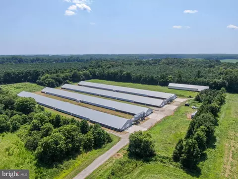 5412 Onley Rd, Girdletree, MD 21829 photo 13
