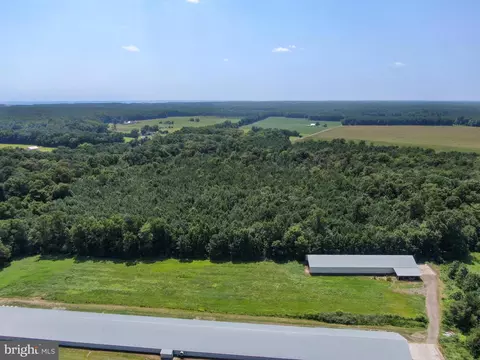 5412 Onley Rd, Girdletree, MD 21829 photo 6
